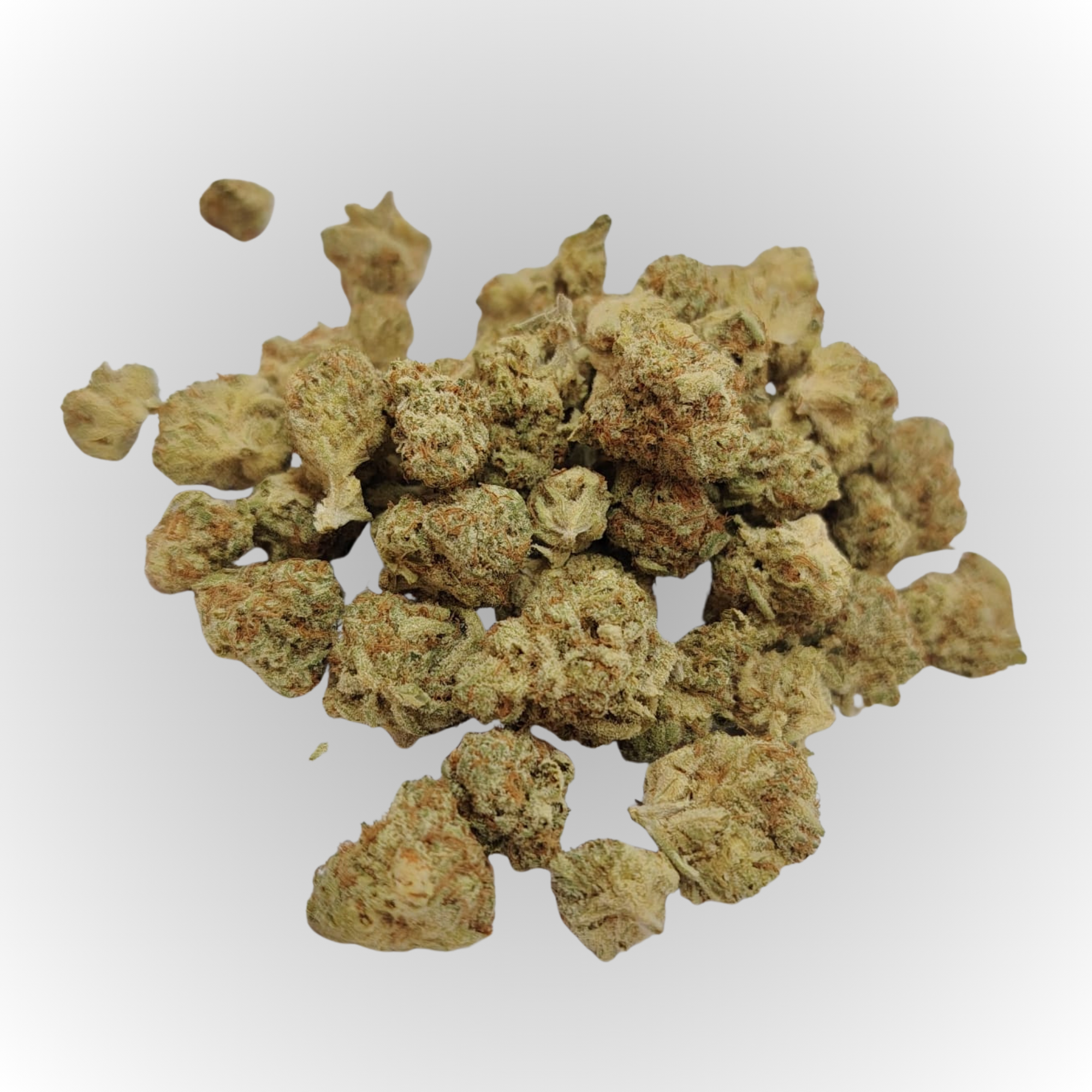 Orange Sherbet-AAA