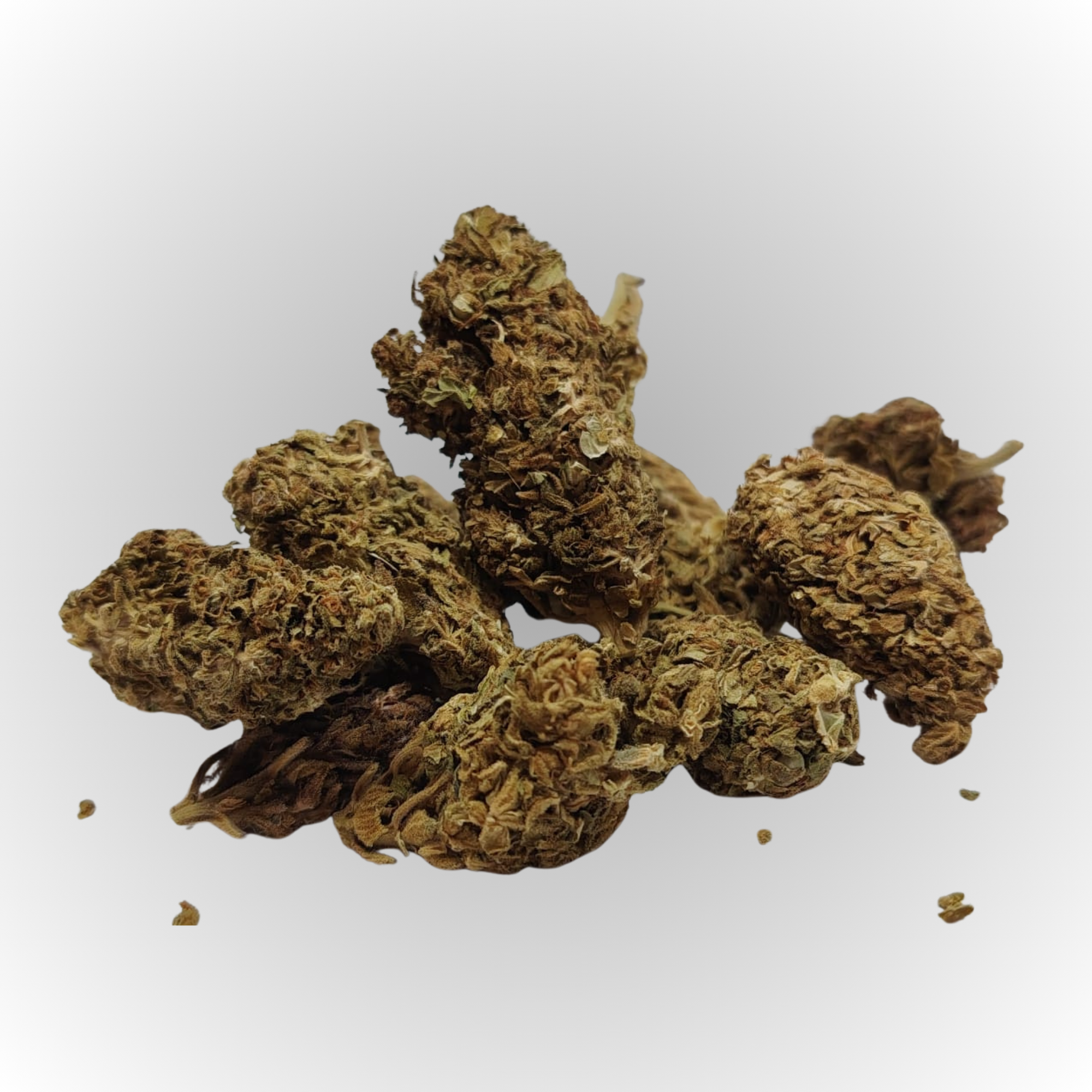 Critical Kush-OD